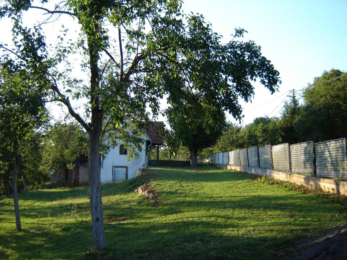 Apartman Nika Otočac 外观 照片